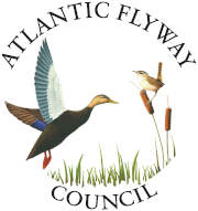 Atlantic Flyway Council Logo